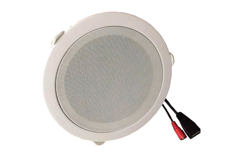 IP網(wǎng)絡(luò)廣播吸頂喇叭